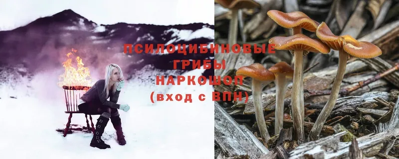 Галлюциногенные грибы Magic Shrooms  купить наркоту  Полесск 